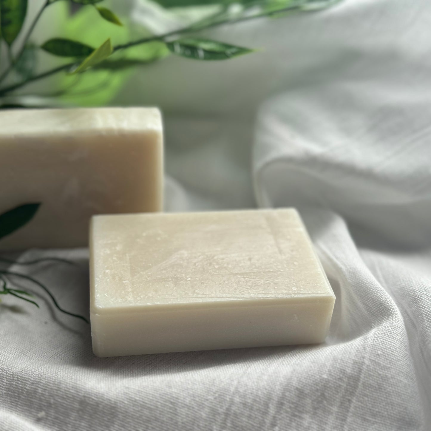 tallow soap | fresh aloe