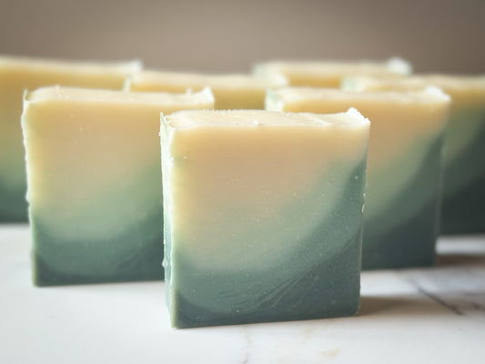 aloe from the other side / aloe soap