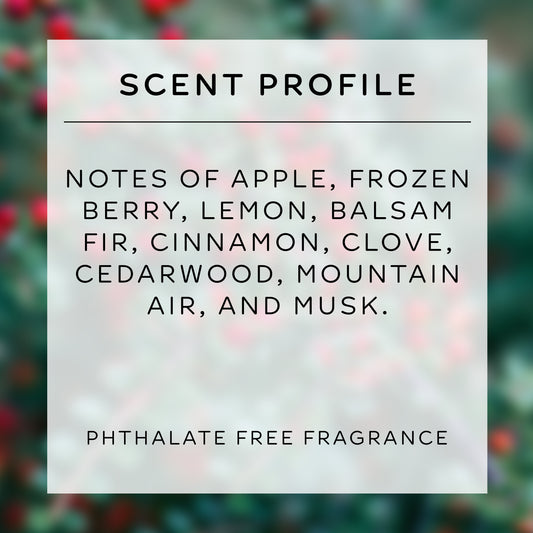 tallow soap & moisturizer set | winter berry