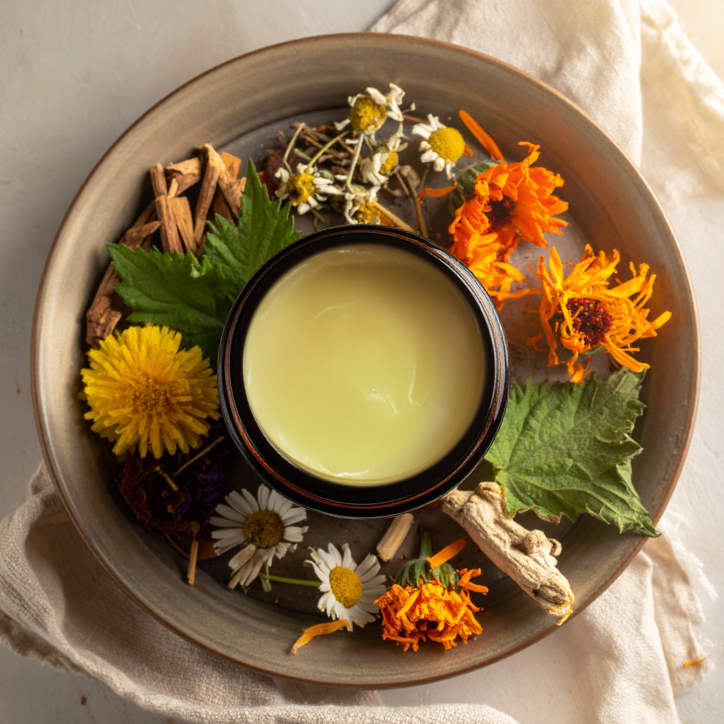tallow balm | rooted