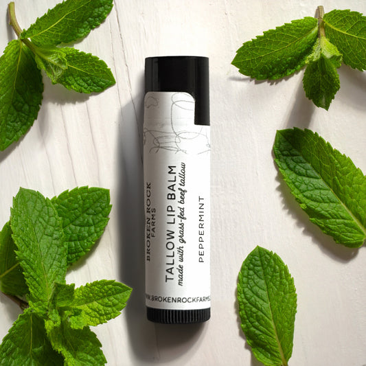 tallow lip balm