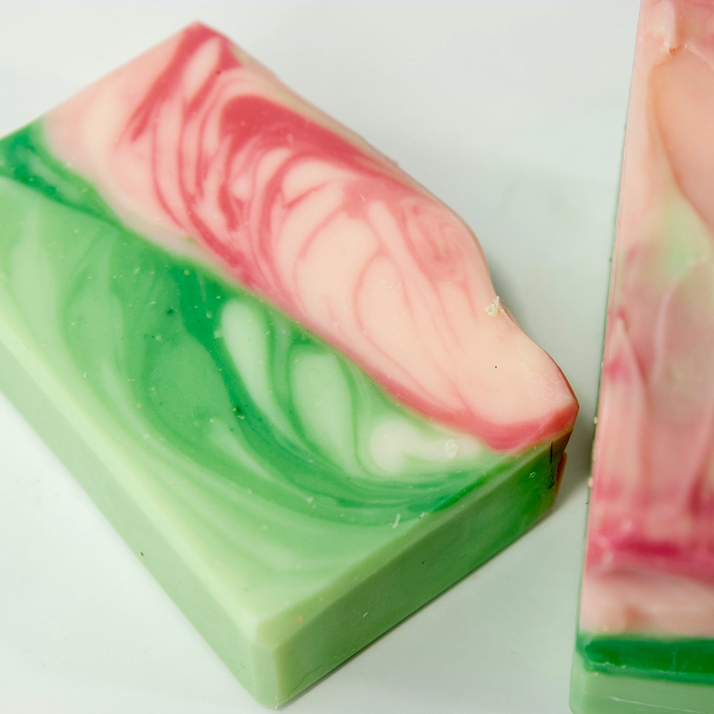 tallow soap | christmas cactus