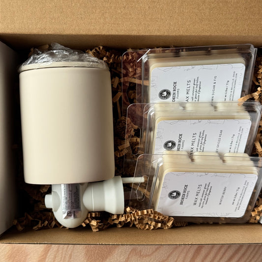 tallow wax melt & warmer set | holiday hearth