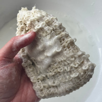 tallow soak, soap & moisturizer set | honey, oat & vanilla