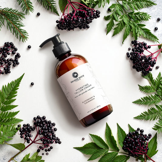 hydrating tallow lotion | elderberry & evergreen