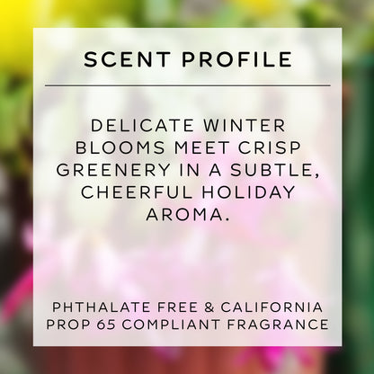 tallow soap & moisturizer set | christmas cactus