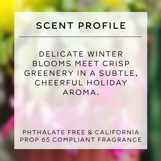 tallow soap | christmas cactus