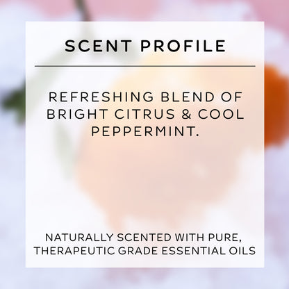 whipped tallow body butter | frosted citrus