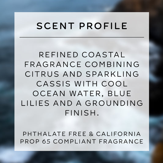 tallow shave set | midnight waters