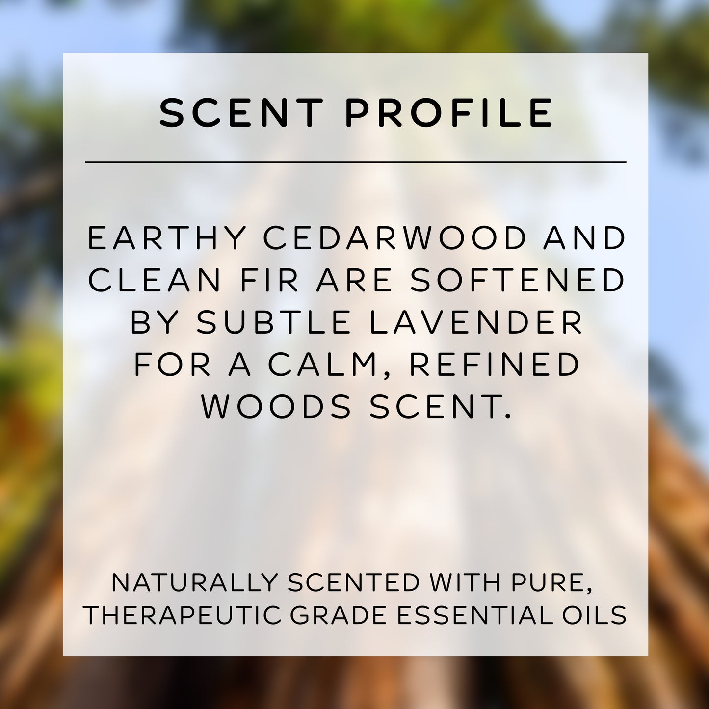 tallow shave set | timber