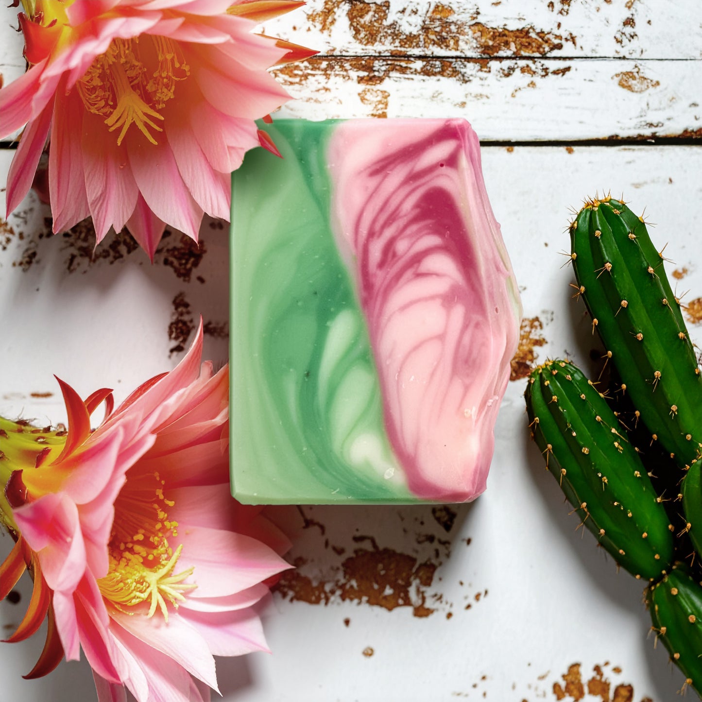 tallow soap | cactus flower