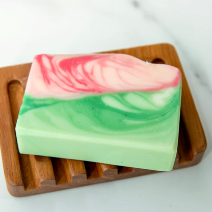 tallow soap & moisturizer set | christmas cactus