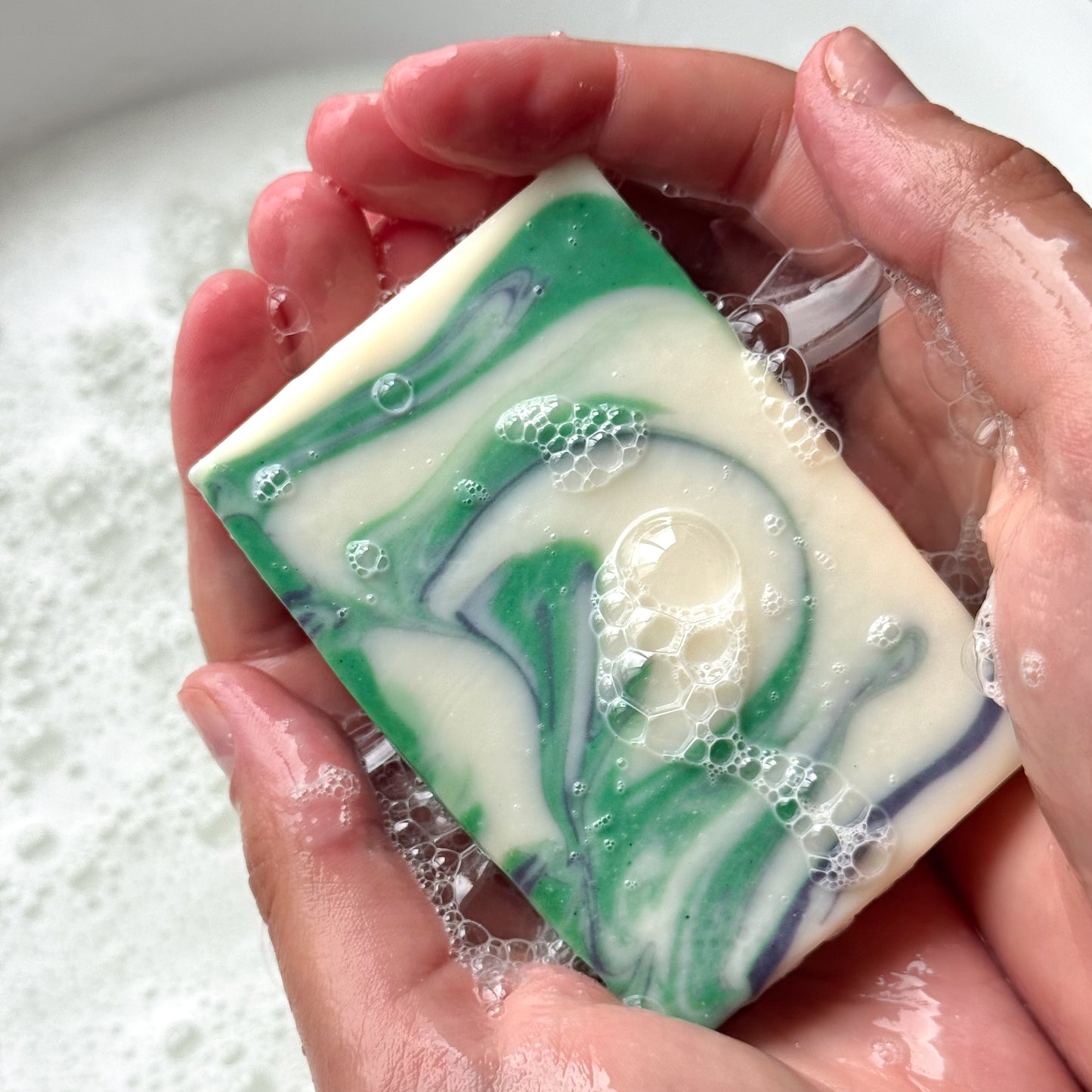 tallow soap | elderberry & evergreen