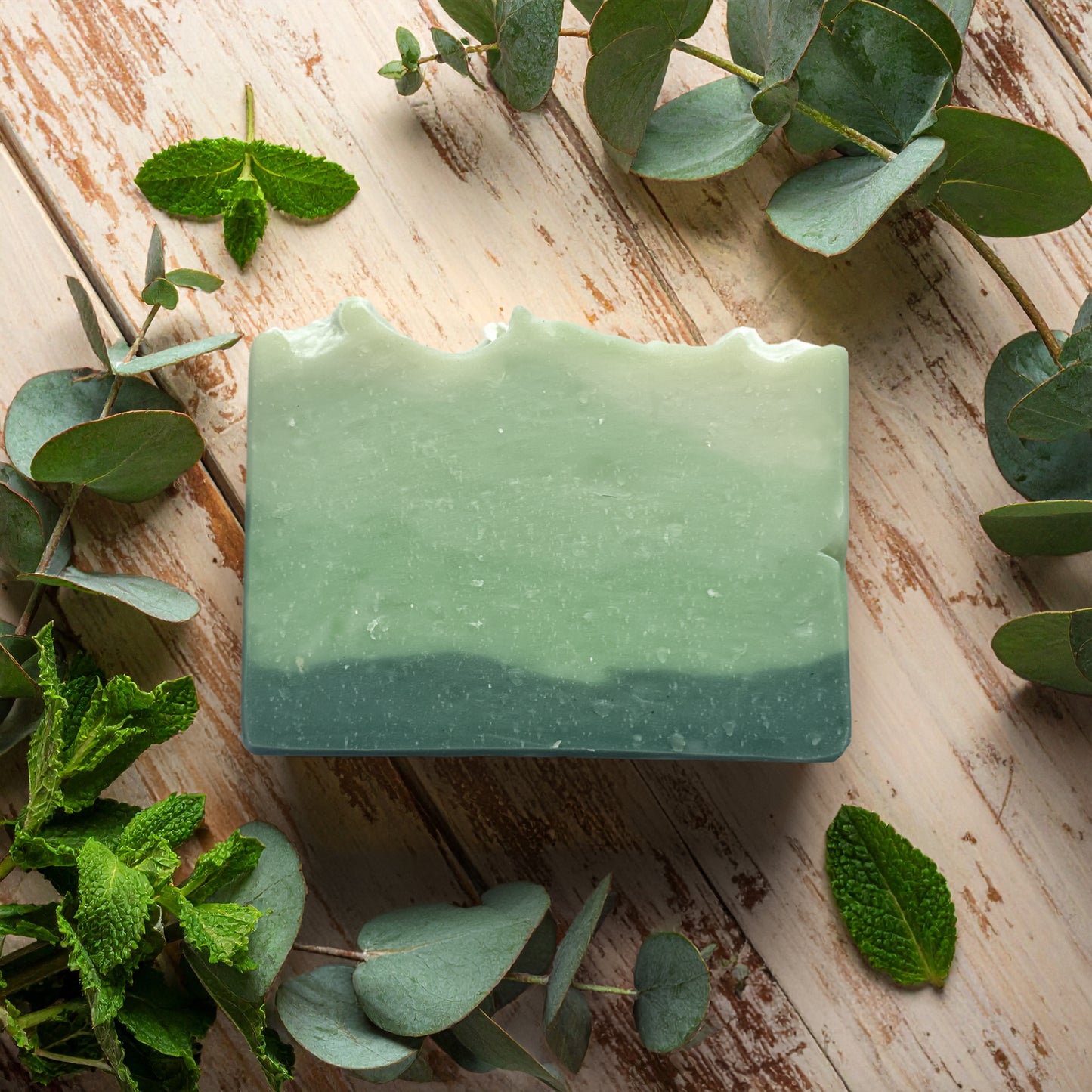 tallow soap | eucalyptus mint