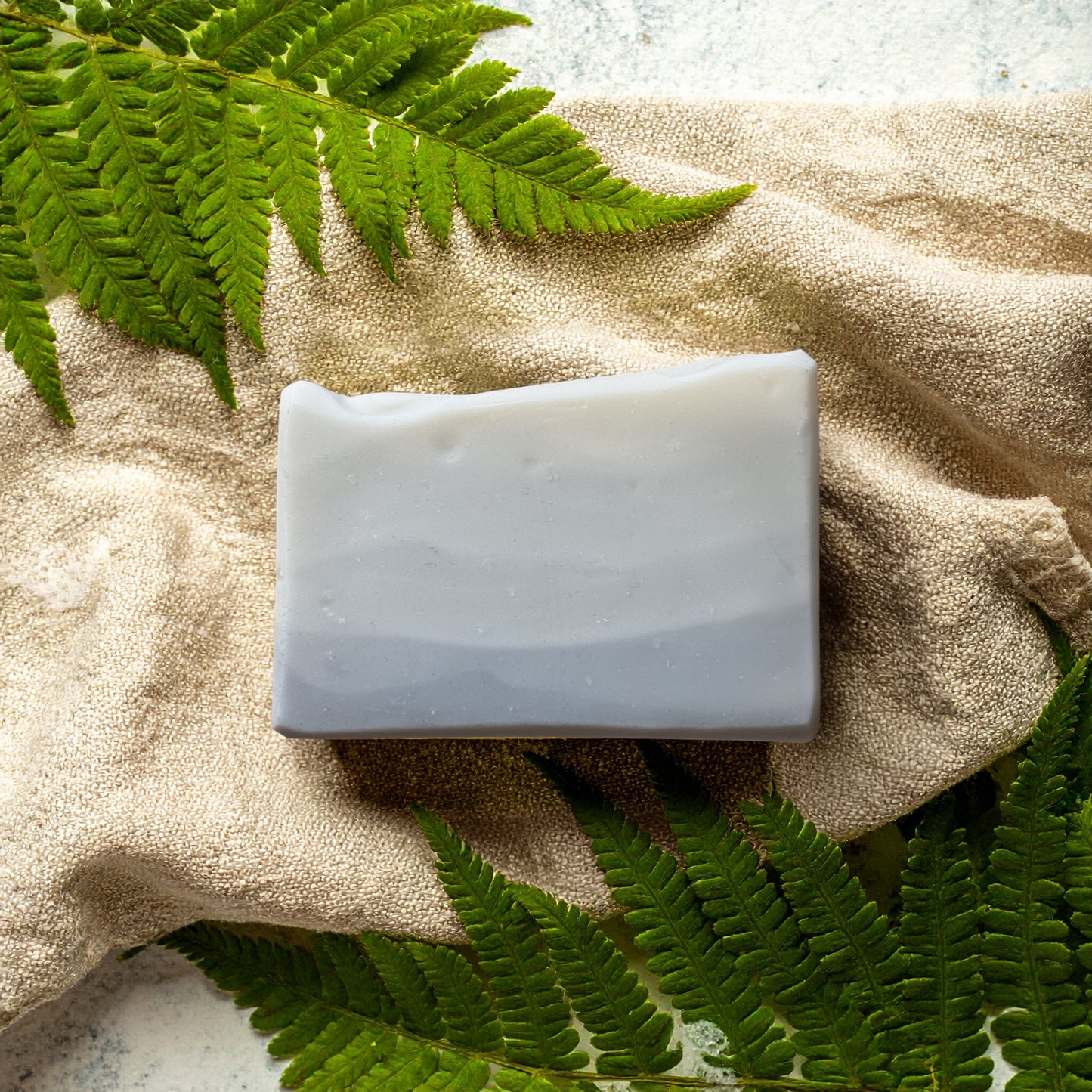 tallow soap | quiet morning