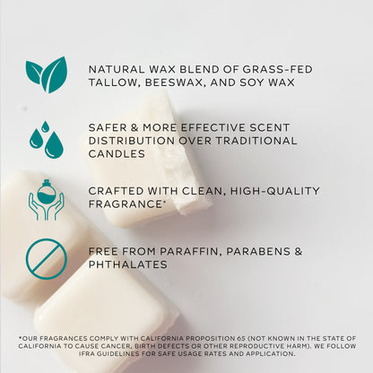 tallow wax melt | apple maple crumble