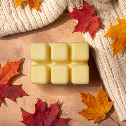 tallow wax melt | cozy season
