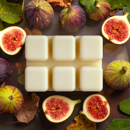 tallow wax melt | harvest fig