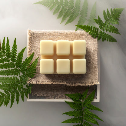 tallow wax melt | quiet morning