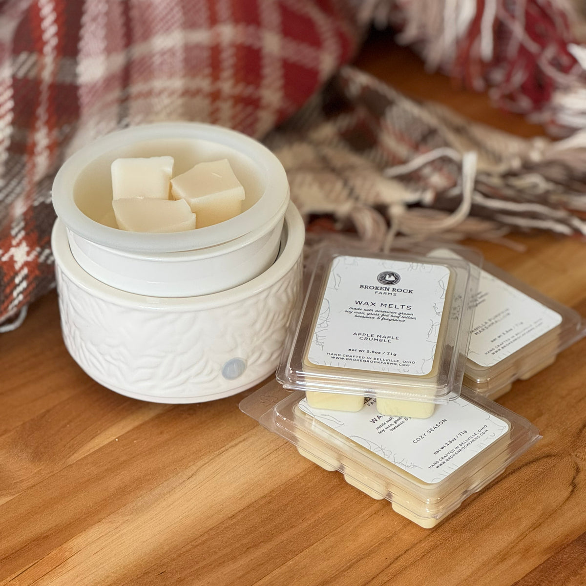 tallow wax melt set | wax warmer & melts